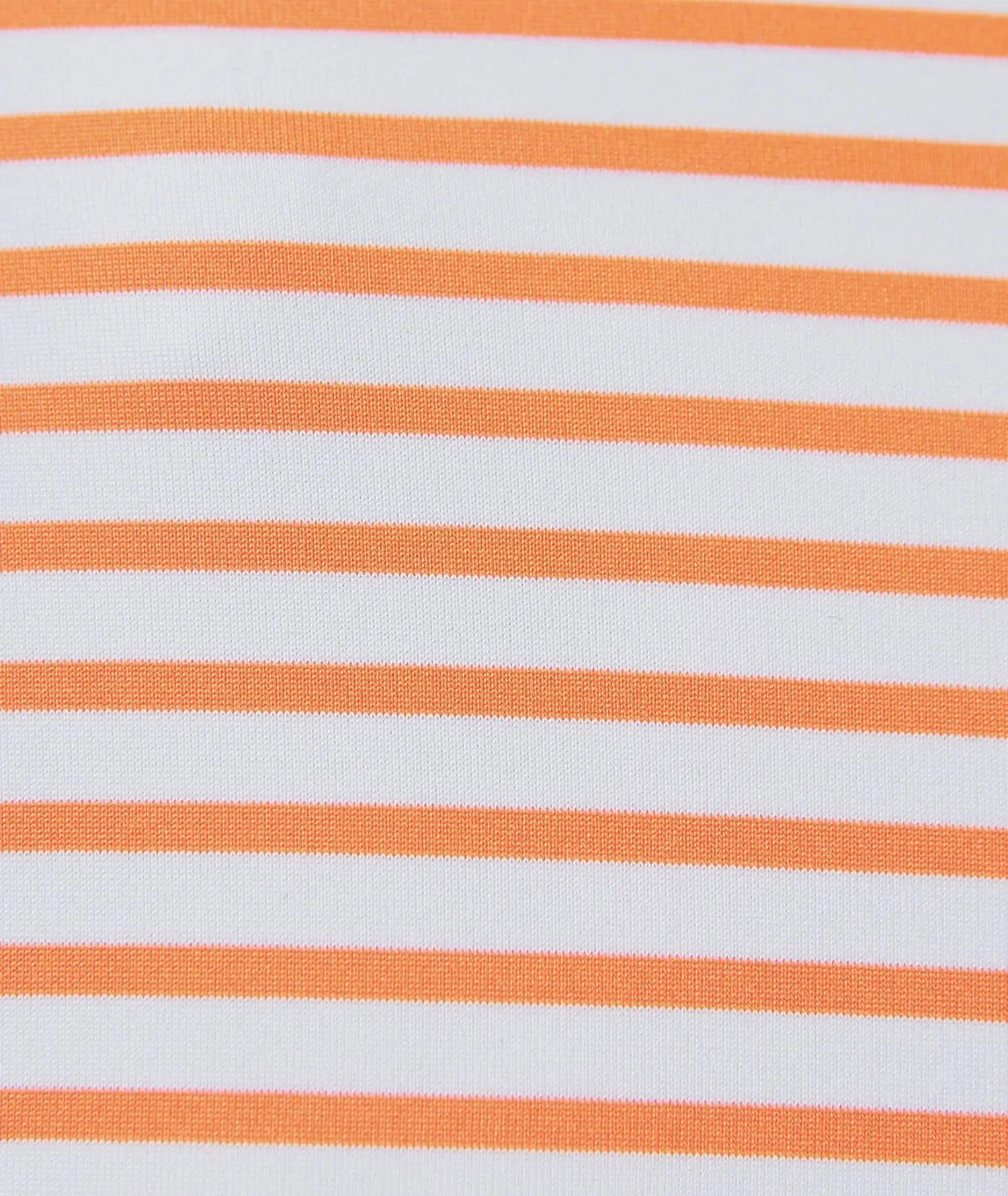 Gus Stripe