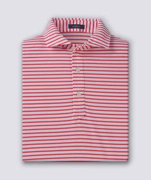 Gus Stripe