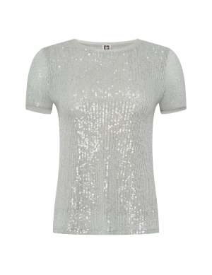 Petite Sequin Mesh Short Sleeve Tee