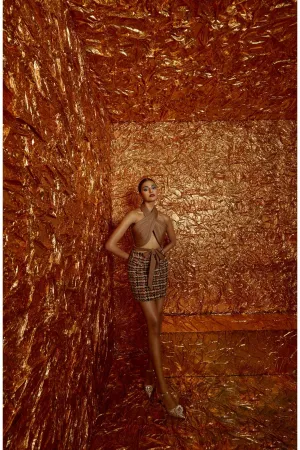 Tan Micro Organza Cording Tie up Top